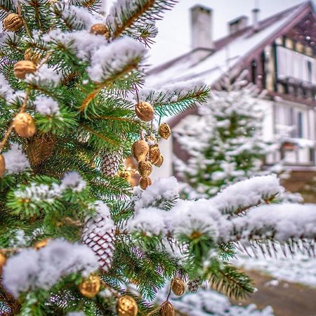 Usadba Belovezhskoye Pomestye Hotel Kamenyuky Bagian luar foto